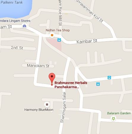kerala ayurveda clinic in pallavaram,pallavaram ayurvedic clinic